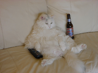 moi